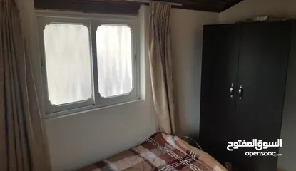  2 شقه مفروشه للإيجار بشارع وادي معالي / مار شيربل  Furnished Roof Apartment for Rent