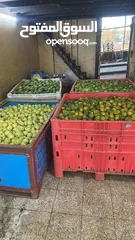  6 مشروع تجاري مربح