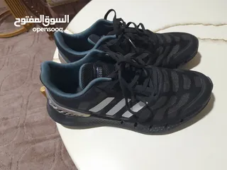  6 احذيه ماركات عالميه للبيع