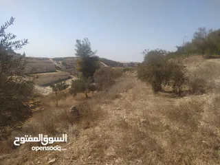  1 دونم ارض للبيع