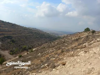  1 9 دونم تصنيف ب بسعر مميز