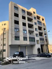  1 شقه عظم رفيديا