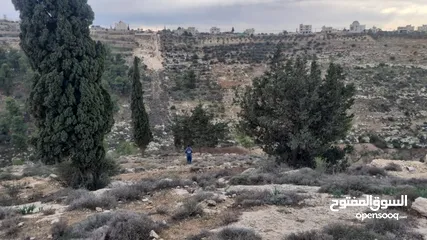  1 ارض للبيع في دورا ،الصره