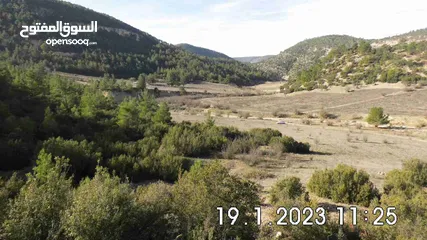  1 Land near DENIZLI, 15,850m², on the edge of a forest, for wine or fruit cultivation, from Owner