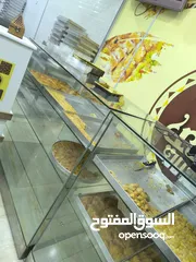  3 كل عام وأنتم بخير  زورونا بالشرفية  باسطة وحلويات  أبراج لولي طعم لا ينسي