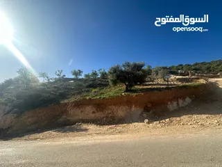 13 قطع سكنيه (سكن ج ) منطقه(عين جنا/ عجلون) وسط البلد،مرتفعه واطلاله جميلة على القلعة واصل جميع الخدمات