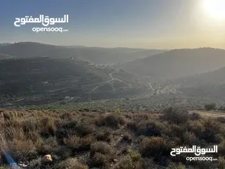  5 ارض طابو 710 متر مطلة مميزة مقابل الريحان من المالك مباشرة في منطقة هادئة و مميزة