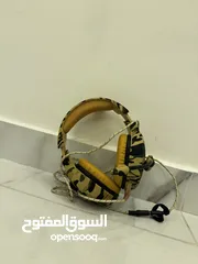  2 Mouse and Mic