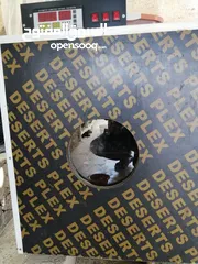  4 فقاسه للبيع 352 بيضه