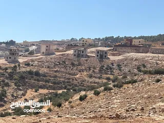  10 أرض 15دونم لبيع بسمر مغري خلف جامعة جرش وخلف مقام النبي هود في أشجار عمر 30سنه وبجانب شالات