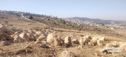  8 الكمشة شمال شفابدران