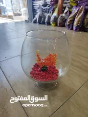  3 باولات سمك ، للمكاتب ، غرف النوم ، الصالون استقبال الضيوف ، رونق خاص للجمال و الاناقة