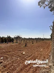  6 تملك أرض مميزة طريق المطار /  أم العمد 1700 متر .