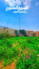  7 لقطه سوبر ديلوكس فيلا فخمه مع مزرعه بأجمل مناطق البيضاء متنزه الحسين الوطني