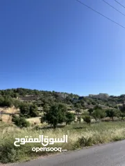  2 ارض للبيع في الأردن - عجلون