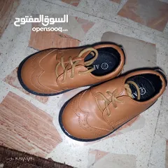  1 كندرة أطفال صغار