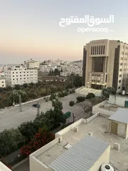  1 فرصة العمر للإستثمار المضمون