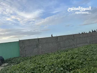  4 أرض للبيع فرصة