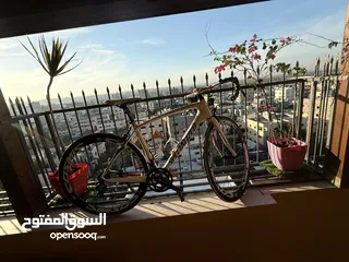  5 دراجة هوائية Specialized Roubaix Elite.