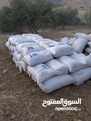  1 تبن احمر بيقيا