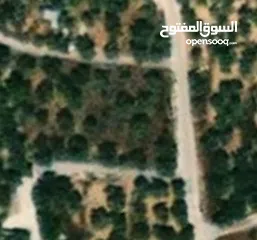  2 قطعة ارض بمساحة 550متر مربع  نابلس -نصف اجبيل