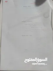  23 لاريدو لمتد فول بدون صبغ