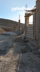  21 بيت للبيع في الطافح