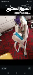  12 اغراض للبيبي مستعمل بس نضيف للبيع