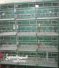  11 غرفة طيور كامله للبيع اقرأ الوصف سعر قابل للتفاوض بشكل بسيط