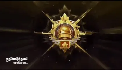  1 رفع حسابات ببجي للكونكر او الغازي و التيميت رويال، انجازات صعبه ، كل ما يخص اللعبه بسعر طري جدا