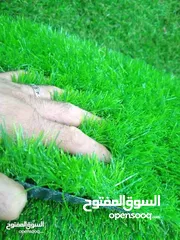  11 ترتان عشب صناعي