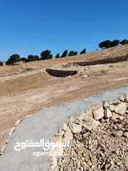  2 ارض للبيع جرش عنيبه قطعه مميزه جدا