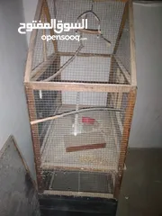  3 مطير +قفص للبيع بسعر مغرررررري