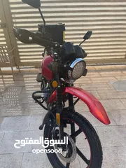  3 دايون جبلي مرقم