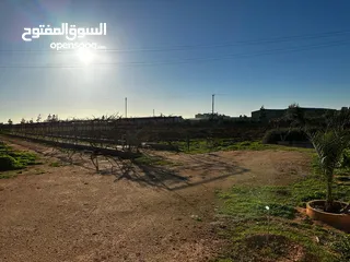  16 مزرعه هكتارين ف بوهادي 