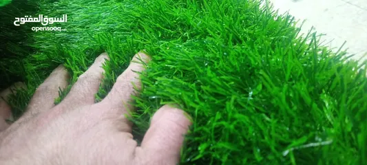  2 عشب صناعي باقل اسعار