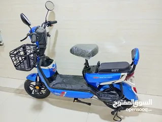  2 Electric Bicycle