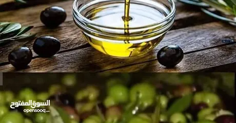  1 مطلوب زيت زيتون