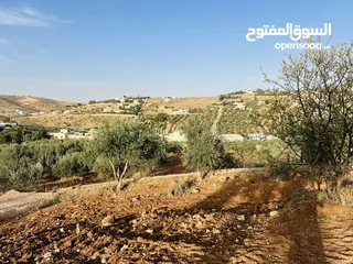  1 بسم الله الرحمن الرحيم ارض للبيع في بيرين حوض القصبات مساحه 543م2 جميع الخدمات على شارعين مزروعه