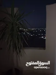  14 مزرعه للبيع