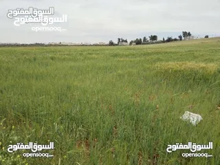  1 3500 م للبيع  واصل جميع الخدمات ارض مستويه مثل الكف وتربه حمراء