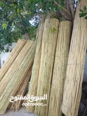  6 قصيب اصفر واخضر للحدائق والمنتزهات والجلسات الخارجيه والاطلالات للتواصل