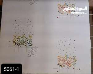  14 ورق جدران كوري فاخر – غيّر جو بيتك بلمسة أنيقة!