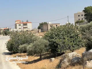  1 ارض في شفا بدران مساحتها 808 مقابل  مدارس البنفسج شارع سهيل بن قيس