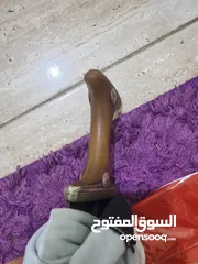  4 جمبية صيفاني زراف اصلي للبيع