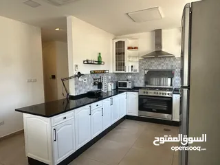  9 شقة مفروشة للايجار في جبل عمان ( Property 38052 )-175072740