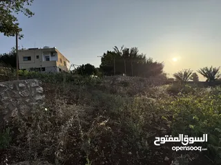  11 مزرعه للبيع / عجلون / رأس منيف