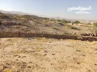  1 قطعة استثمارية مميزة الغور منسف أبوزيد مطله على البحر الميت وشارع القدس تصلح لشاليهات