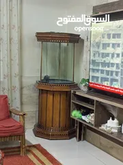  2 حوض سمك للبيع حجم كبير   160 سم
