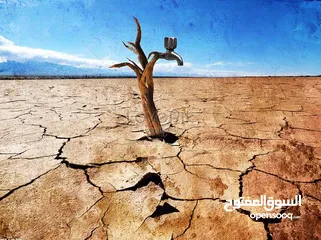  2 ابو يوسف سلامة